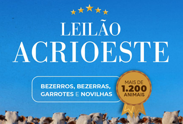 LEILÃO ACRIOESTE