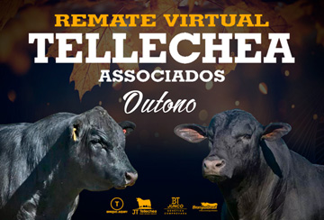 REMATE VIRTUAL TELLECHEA ASSOCIADOS - OUTONO