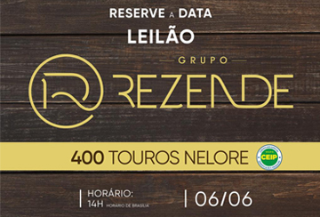 LEILÃO VIRTUAL TOUROS GRUPO REZENDE