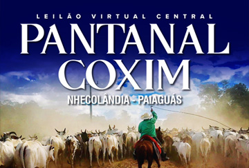 LEILÃO VIRTUAL CENTRAL PANTANAL COXIM