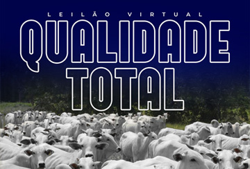 LEILÃO VIRTUAL QUALIDADE TOTAL