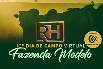 10º DIA DE CAMPO VIRTUAL FAZENDA MODELO