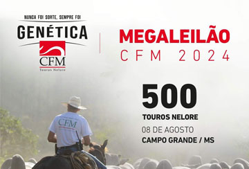 MEGALEILÃO CFM 2024