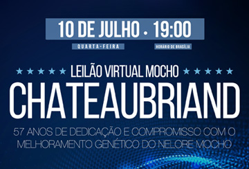 LEILÃO VIRTUAL MOCHO CHATEAUBRIAND