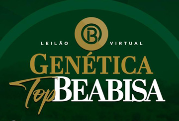 LEILÃO VIRTUAL GENÉTICA TOP BEABISA - REPRODUTORES