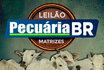 LEILÃO PECUÁRIA BR - MATRIZES