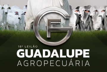 18º LEILÃO GUADALUPE AGROPECUÁRIA - BEZERRAS, DOADORAS E ASPIRAÇÕES