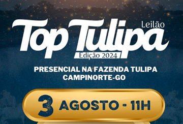 LEILÃO TOP TULIPA - EDIÇÃO 2024