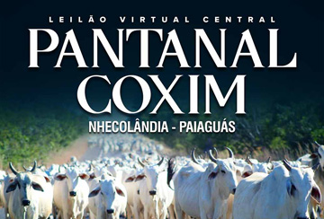 LEILÃO VIRTUAL CENTRAL PANTANAL COXIM