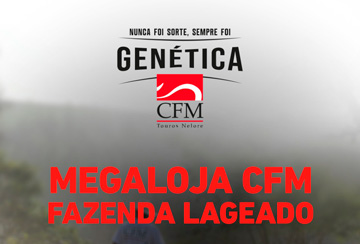 MEGALOJA CFM FAZENDA LAGEADO