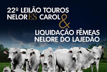 22º LEILÃO TOUROS NELORE ES CAROL & LIQUIDAÇÃO FÊMEAS NELORE DO LAJEDÃO