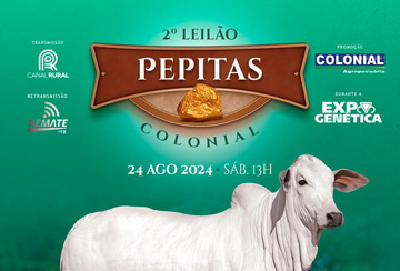 2º LEILÃO PEPITAS COLONIAL