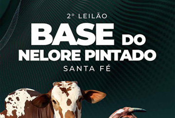 2º LEILÃO BASE DO NELORE PINTADO SANTA FÉ