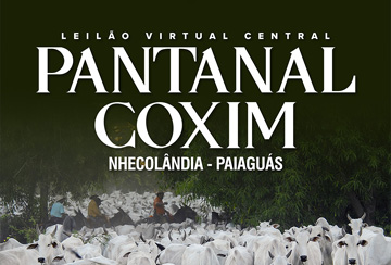 LEILÃO VIRTUAL CENTRAL PANTANAL COXIM