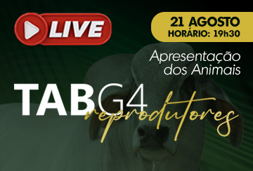 LIVE APRESENTAÇÃO DOS ANIMAIS -  LEILÃO TAB G4 REPRODUTORES