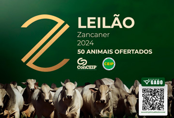 LEILÃO ZANCANER 2024