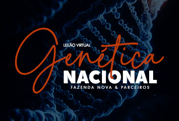 LEILÃO VIRTUAL GENÉTICA NACIONAL FAZENDA NOVA & PARCEIROS - ETAPA BRANGUS E BRAFORD