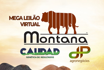 MEGA LEILÃO VIRTUAL MONTANA