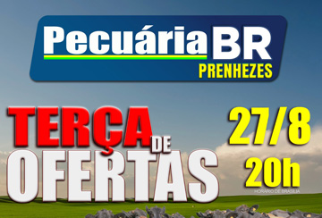 DE OLHO NA FAZENDA PECUÁRIA BR PRENHEZES DE 19 A 27 DE AGOSTO