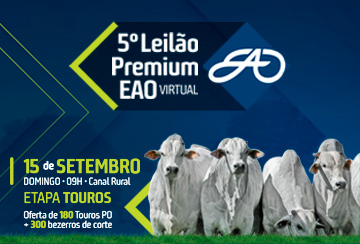 5º LEILÃO PREMIUM EAO VIRTUAL - ETAPA TOUROS