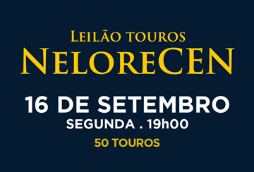 LEILÃO TOUROS NELORE CEN