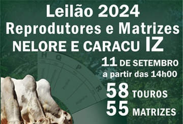 LEILÃO 2024 REPRODUTORES E MATRIZES NELORE E CARACU IZ