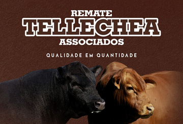 REMATE TELLECHEA ASSOCIADOS