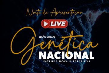 NOITE DE APRESENTAÇÃO - LIVE LEILÃO VIRTUAL GENÉTICA NACIONAL FAZENDA NOVA & PARCEIROS