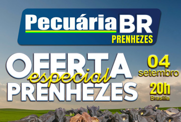 PECUÁRIA BR - OFERTA ESPECIAL PRENHEZES