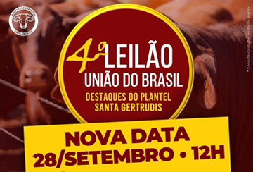 4º LEILÃO UNIÃO DO BRASIL