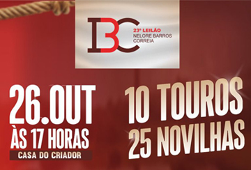 23º LEILÃO IBC - NELORE BARROS CORREIA