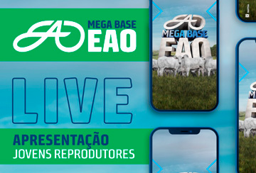 LIVE - MEGA BASE APRESENTAÇÃO JOVENS REPRODUTORES