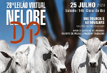 28º LEILÃO VIRTUAL NELORE DP