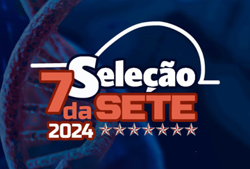 SELEÇÃO 7 DA SETE 2024