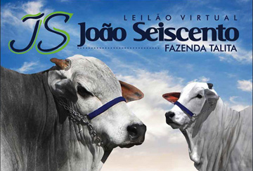 LEILÃO VIRTUAL JOÃO SEISCENTO - FAZENDA TALITA