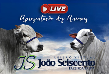 LIVE APRESENTAÇÃO DOS ANIMAIS - LEILÃO VIRTUAL JOÃO SEISCENTO - FAZENDA TALITA