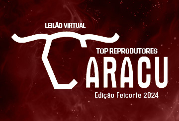 LEILÃO VIRTUAL TOP REPRODUTORES CARACU