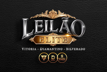 LEILÃO ELITE - VITÓRIA - DIAMANTINO - SILVERADO