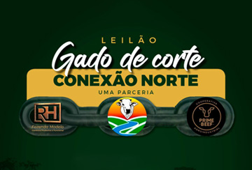 LEILÃO GADO DE CORTE CONEXÃO NORTE - FAZENDA MODELO E PRIME BEEF