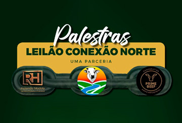 PALESTRAS - LEILÃO CONEXÃO CORTE