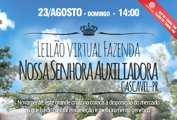 LEILÃO VIRTUAL FAZENDA NOSSA SENHORA AUXILIADORA