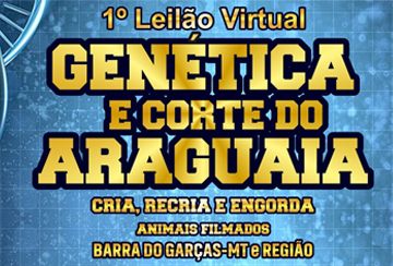 1º LEILÃO VIRTUAL GENÉTICA E CORTE DO ARAGUAIA