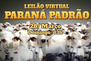 LEILÃO VIRTUAL PARANÁ PADRÃO