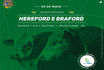 REMATE NACIONAL HEREFORD E BRAFORD