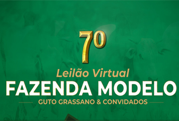 7º LEILÃO VIRTUAL FAZENDA MODELO GUTO GRASSANO & CONVIDADOS - MATRIZES NELORE PO AVALIADAS