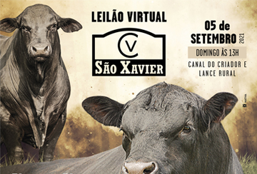 LEILÃO VIRTUAL SÃO XAVIER