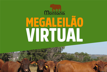 MEGA LEILÃO VIRTUAL MONTANA