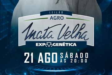 LEILÃO AGRO MATA VELHA EXPOGENÉTICA