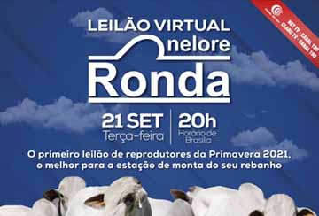 LEILÃO VIRTUAL NELORE RONDA