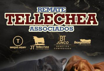 REMATE TELLECHEA ASSOCIADOS